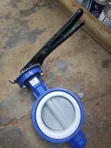 Butterfly Valve - 4 Inch Diameter - 4
