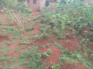 Plot for Sale in Nakawuka