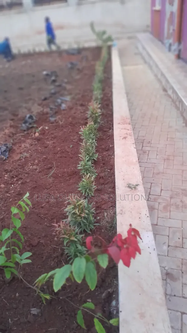 Professional Home & Garden Design Services - 1