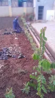 Professional Home & Garden Design Services - 4