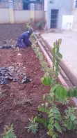 Professional Home & Garden Design Services - 5