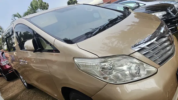 Toyota Alphard 2010 Gold - 1