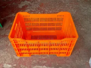 Stackable Plastic Crates - Brand New