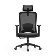 Ergonomic Office Chair - Brand New - 1