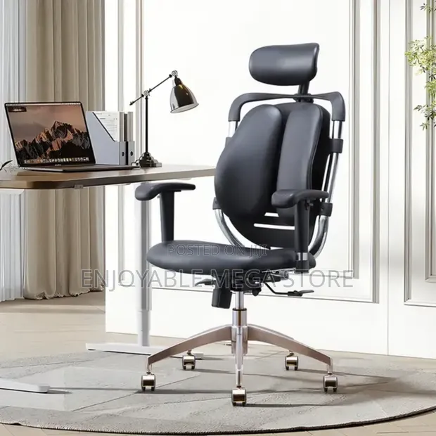 Orthopedic Lumbar Back Support Office Chair - 1