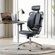 Orthopedic Lumbar Back Support Office Chair - 1