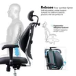 Orthopedic Lumbar Back Support Office Chair - 2