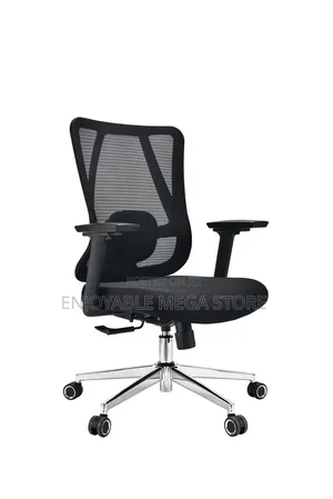 Brand New Adjustable Office Chair with Back Support