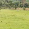 50 Acres for Sale - Bwizibwera Rwanyamahembe - 2
