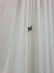 Brand New Curtain Sheers - Home Interiors - 4