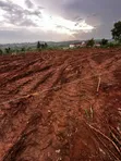 Plot for Sale in Gayaza Kiwenda Nazaresi - 1