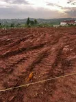 Plot for Sale in Gayaza Kiwenda Nazaresi - 3