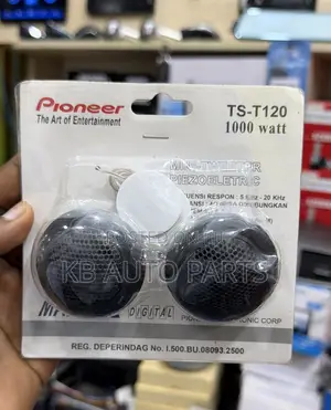Pioneer Car Stereo Tweeters - Brand New