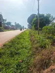 Commercial Plot for Sale - Wakiso Nkowe - 1