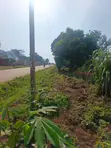 Commercial Plot for Sale - Wakiso Nkowe - 3