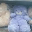 Medium Size Plush Teddy Bear - 3