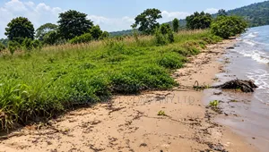 10 Acres Beach Land in Bubwa, Nkokonjeru, Lake Victoria Frontage