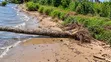10 Acres Beach Land in Bubwa, Nkokonjeru, Lake Victoria Frontage - 4