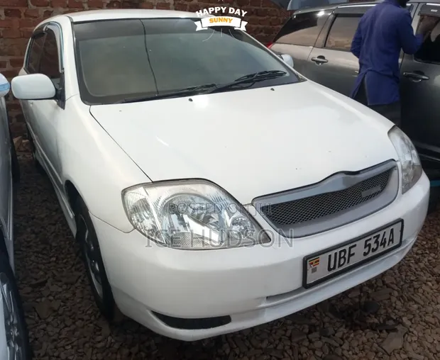 Toyota Allex 2006 Silver - 1