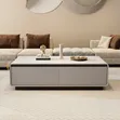 Gray Centre Table with Storage | Living Room Coffee Table - 1