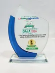 Brand New Glass Awards and Trophies - 2