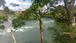 3 Acres on River Nile with Cottage & Borehole, Njeru - 5
