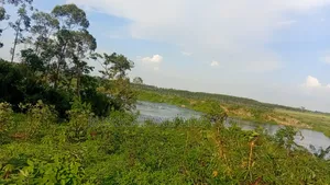 3 Acres River Nile Frontage, Kangulumira - UGX 170M (1.5 Acres)