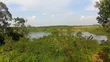 3 Acres River Nile Frontage, Kangulumira - UGX 170M (1.5 Acres) - 2
