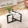 Modern Glass Top Center Table with Metal Frame - 2