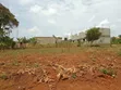 Kyaliwajjala 100x50 Plot for Sale - 1