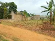 Kyaliwajjala 100x50 Plot for Sale - 4