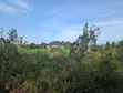 110ft x 40ft Residential Plot for Sale in Mukono - 2
