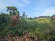 110ft x 40ft Residential Plot for Sale in Mukono - 3