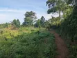 110ft x 40ft Residential Plot for Sale in Mukono - 4