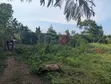 110ft x 40ft Residential Plot for Sale in Mukono - 5
