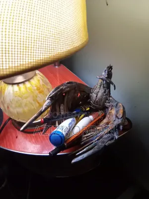 Handmade Driftwood Pen and Pencil Holder