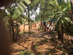 Land for Sale in Nalya