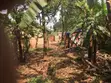 Land for Sale in Nalya - 1