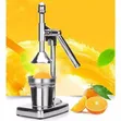 Stainless Steel Manual Lever Fruit Press & Citrus Juicer - 1