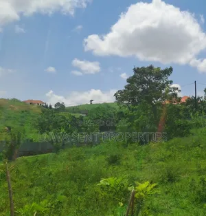 5 Sq Miles Nakaseke Prime Land - Mailo Title