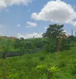 5 Sq Miles Nakaseke Prime Land - Mailo Title - 1
