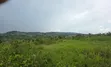 5 Sq Miles Nakaseke Prime Land - Mailo Title - 3