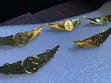 Pilot Wings Pins - Aviation Accessories - 3