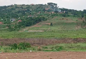 Prime Plots for Sale at Kabira~Kyanja Mpigi Land Estate