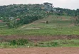 Prime Plots for Sale at Kabira~Kyanja Mpigi Land Estate - 1