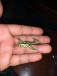 Pilot Airplane Pins - Aviation Accessories - 3