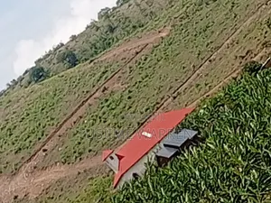 Plot for Sale - Mbarara City North