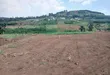 Prime Plots for Sale at Katende~Luwule Modern Land Estate, Masaka Road - 4