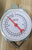 Mechanical Hanging Dial Scale 25Kg / 55lb - 1