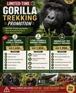 Happy Times Safaris: Wildlife Safaris, Gorilla Trekking & Adventure Tours - 3